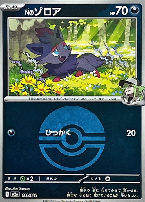 N's Zorua 111/193 MEGA Dream ex - Ball & Rocket Reverse Holo