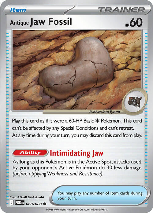 Antique Jaw Fossil 068/088 Perfect Order