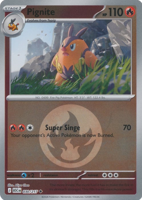 Pignite 030/217 Ascended Heroes - Energy Reverse Holo